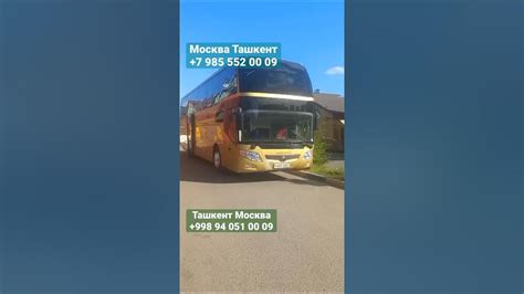 Автобус ташкент москва
