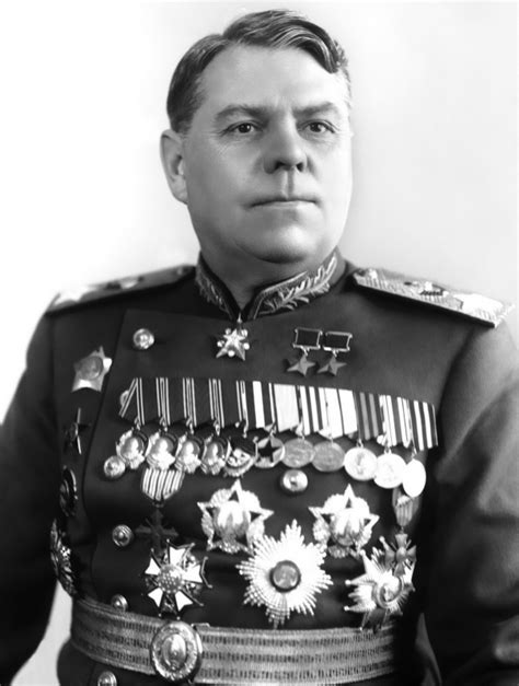 Алексей василевский