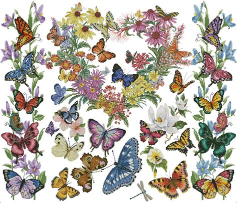 Бабочки и птицы