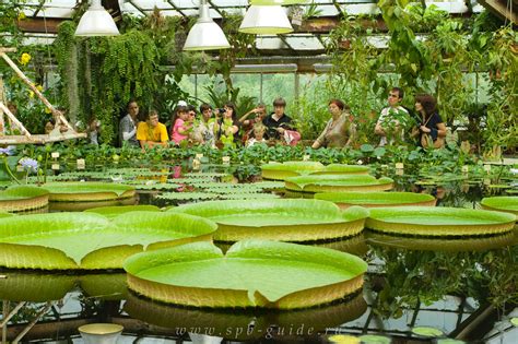 Ботанический сад калининград официальный сайт