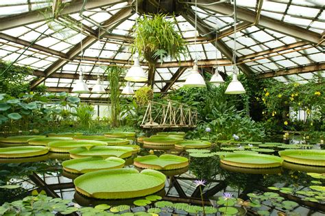 Ботанический сад калининград официальный сайт