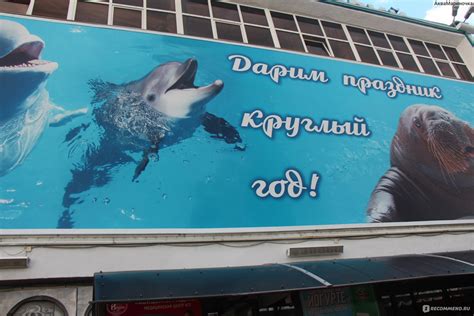 Дельфинарий геленджик официальный сайт