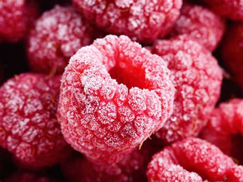 Как заморозить малину на зиму в морозильной камере свежую с сахаром