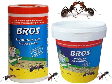 Как избавиться от муравьев в доме на даче