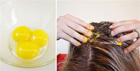 Как мыть голову яйцом