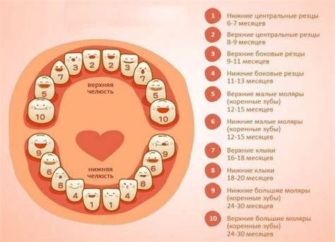 Как понять что режутся зубки