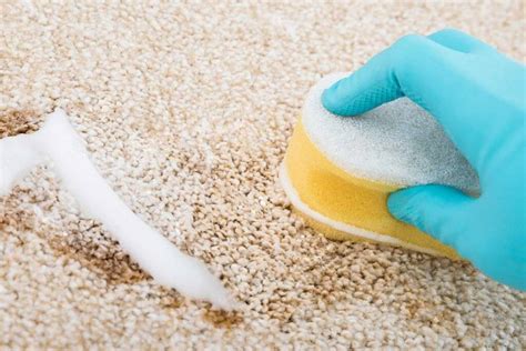 Как почистить очень грязный палас в домашних условиях быстро и эффективно