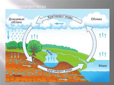 Какого значение круговорота воды в природе география 6 класс