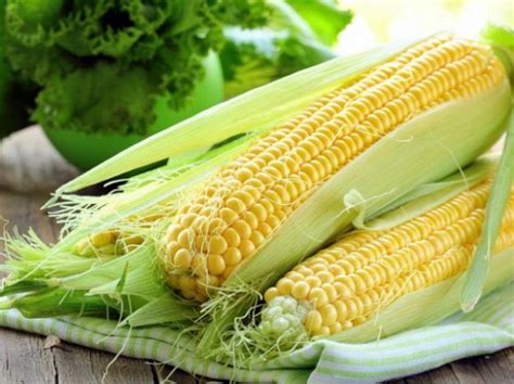 Кукуруза фрукт или овощ