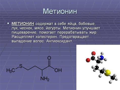 Метионин польза и вред для человека