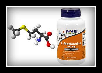 Метионин польза и вред для человека