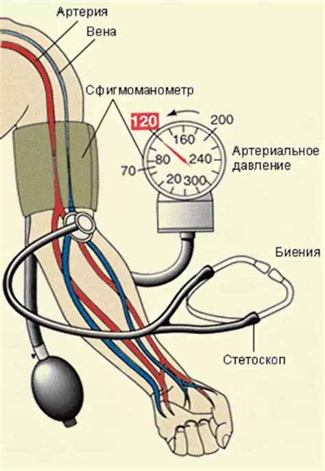 Методика измерения артериального давления