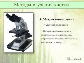 Микроскопирование