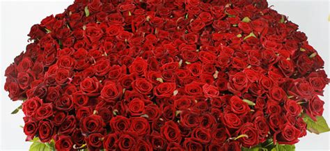 Милион алых роз