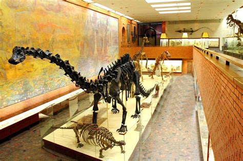 Музей динозавров москва