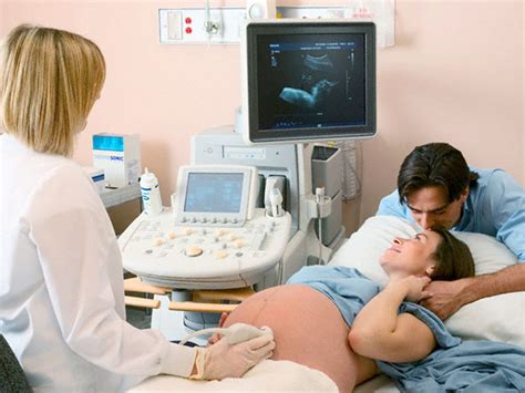 На каком сроке можно увидеть беременность на узи
