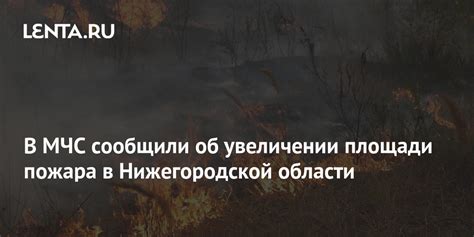 Новости нижегородской области происшествия