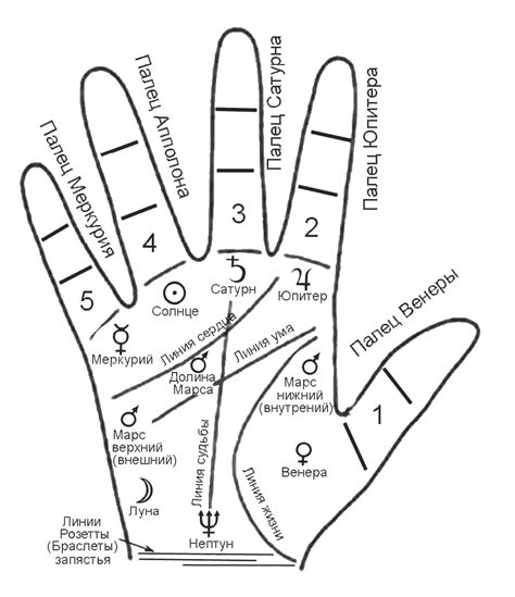 Обозначение колец на пальцах у женщин