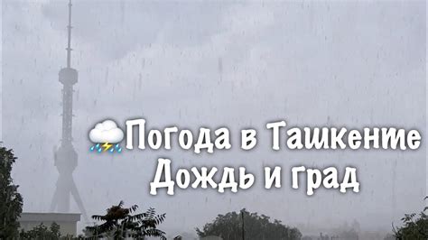 Погода в пушкино московской на 3 дня