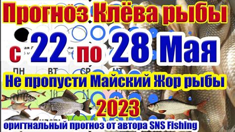 Прогноз клева рыбы в белгородской области на 5 дней