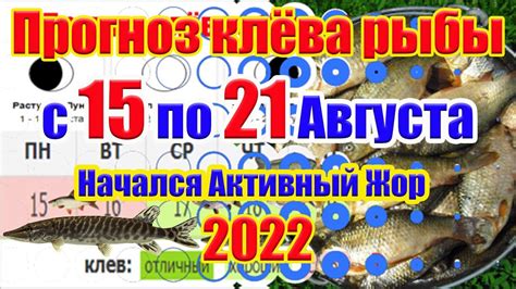 Прогноз клева рыбы в белгородской области на 5 дней