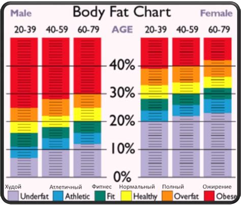 Процент жира в организме женщины