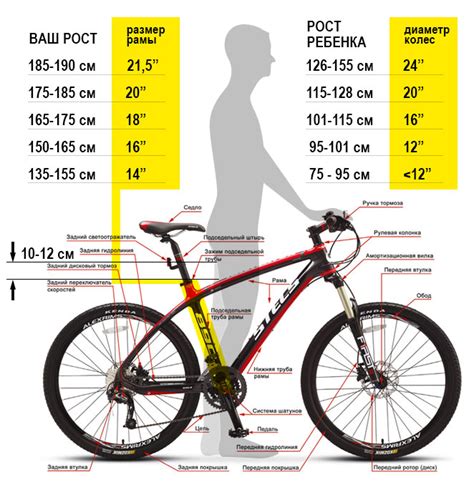 Размер рамы велосипеда по росту таблица мужчины
