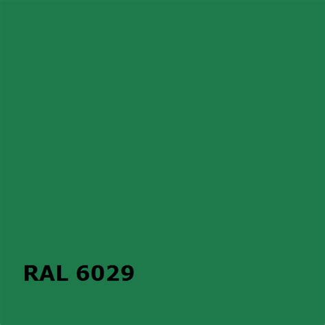 Рал 6029