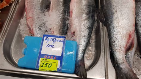Самая дешевая рыба в магазине