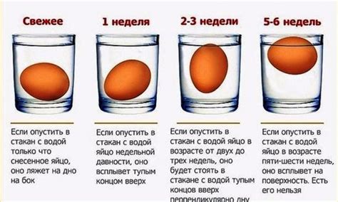 Свежесть яиц в воде проверить