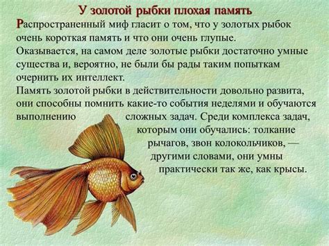 Сколько память у рыбы