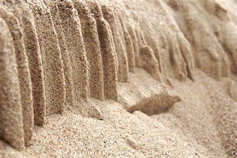 Сонник песок