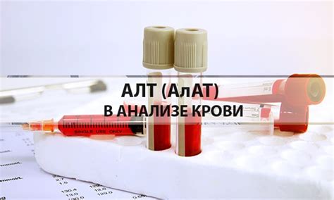 Что означает алт в анализе крови и причины его повышения