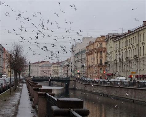 Яндекс погода санкт петербург сегодня