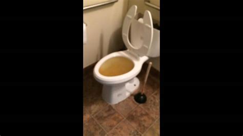 Czech toilet poop