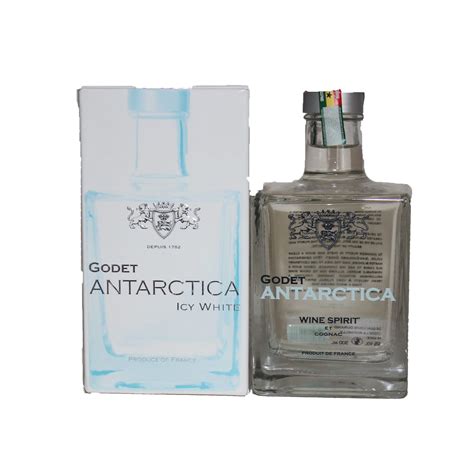 Godet antarctica