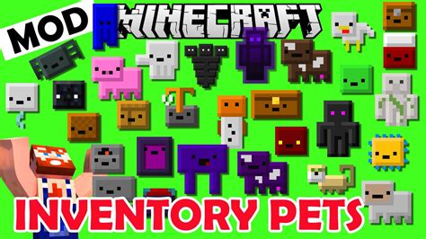 Inventory pets