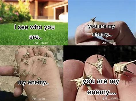 You are my enemy