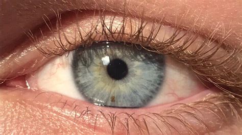 Голубо серые глаза