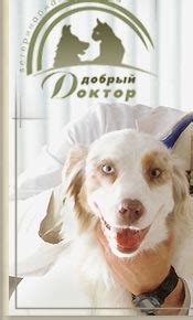 Добрый доктор ветеринарная клиника ярославль