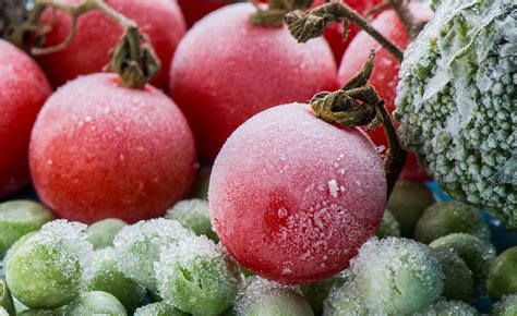 Как заморозить помидоры на зиму в морозилке свежими