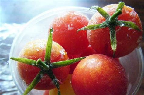 Как заморозить помидоры на зиму в морозилке свежими