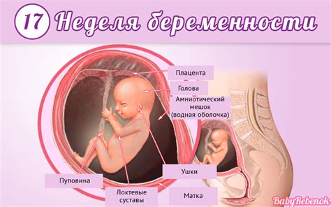 Как проявляется беременность