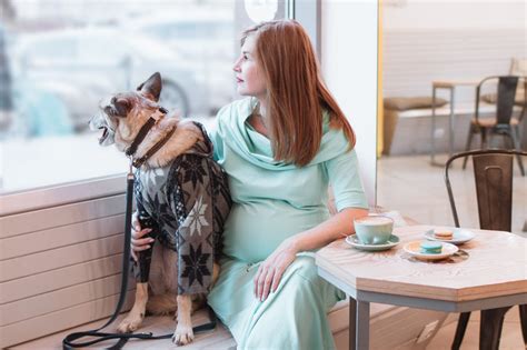 Как узнать беременна ли собака