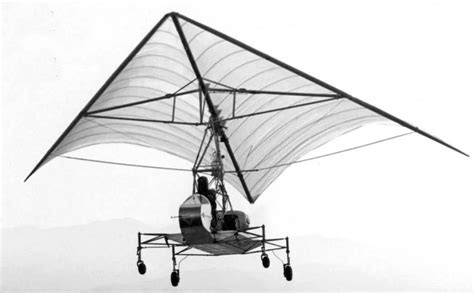 Летательный аппарат с машущими крыльями 10 букв
