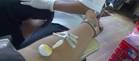 Областная станция переливания крови владимир