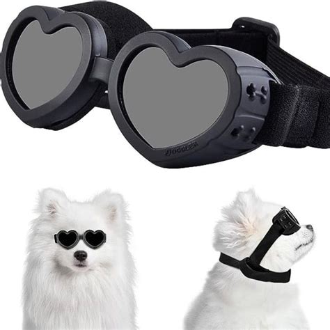Очки для собак