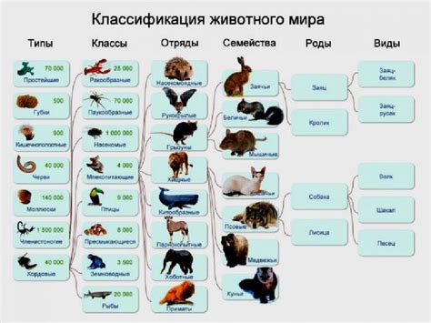 По каким признакам классифицируют науки о животных 7 класс биология