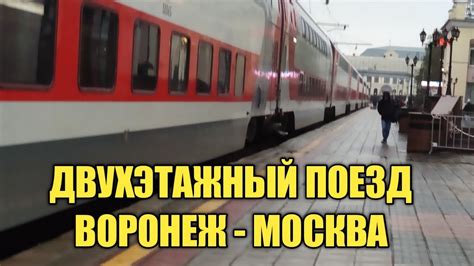 Поезд москва воронеж двухэтажный расписание