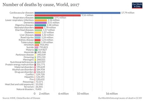 Сколько людей умирает в год